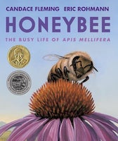 Cover of Honey Bee: The Busy Life of Apis Mellifera, by Candace Fleming, illustrated by Eric Rohmann--2021 Sibert Award winner